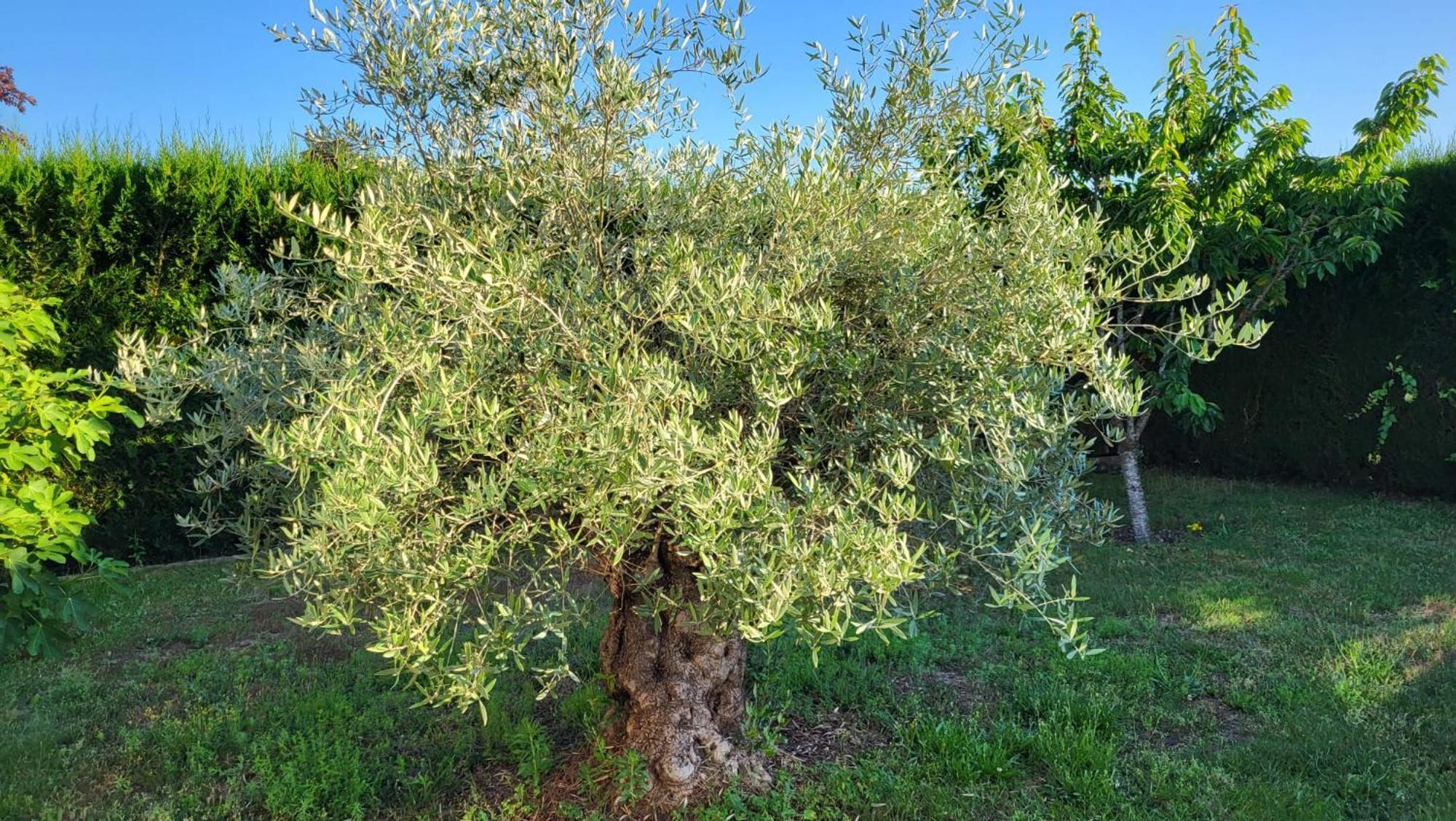Lamaison-D'Ose Châtillon-sur-Chalaronne エクステリア 写真